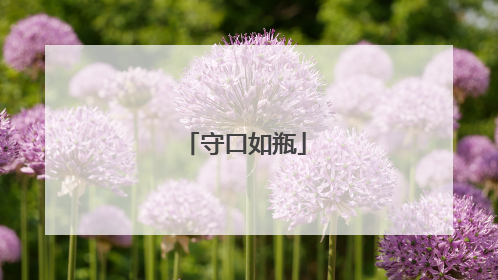 守口如瓶