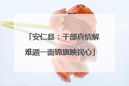 安仁县：干部真情解难题一面锦旗映民心