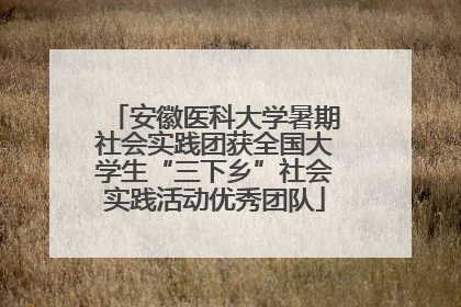 安徽医科大学暑期社会实践团获全国大学生“三下乡”社会实践活动优秀团队