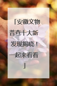 安徽文物普查十大新发现揭晓！一起来看看