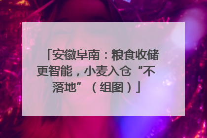 安徽阜南：粮食收储更智能，小麦入仓“不落地”（组图）