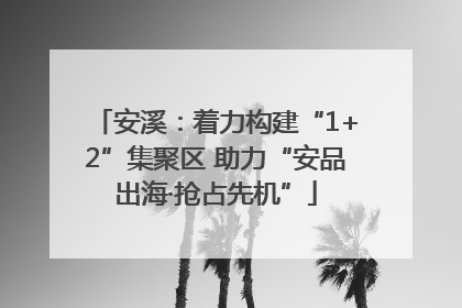 安溪：着力构建“1+2”集聚区 助力“安品出海·抢占先机”