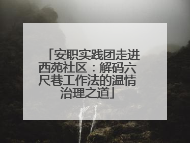 安职实践团走进西苑社区：解码六尺巷工作法的温情治理之道