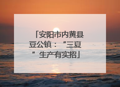 安阳市内黄县豆公镇：“三夏”生产有实招