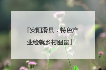 安阳滑县：特色产业绘就乡村图景
