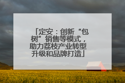 定安：创新“包树”销售等模式，助力荔枝产业转型升级和品牌打造