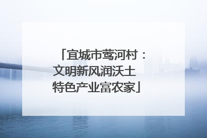 宜城市莺河村：文明新风润沃土 特色产业富农家