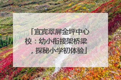 宜宾翠屏金坪中心校：幼小衔接架桥梁，探秘小学初体验