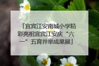 宜宾江安南城小学精彩亮相宜宾江安庆“六一”五育并举成果展