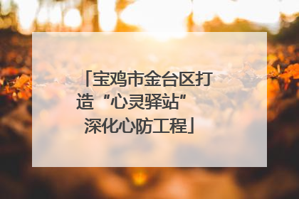 宝鸡市金台区打造“心灵驿站” 深化心防工程
