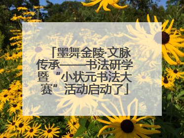 墨舞金陵·文脉传承——书法研学暨“小状元书法大赛”活动启动了