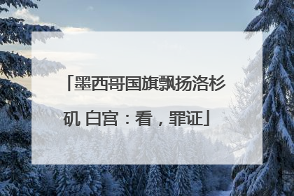 墨西哥国旗飘扬洛杉矶 白宫：看，罪证