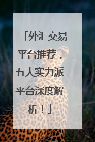 外汇交易平台推荐，五大实力派平台深度解析！
