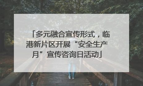 多元融合宣传形式，临港新片区开展“安全生产月”宣传咨询日活动