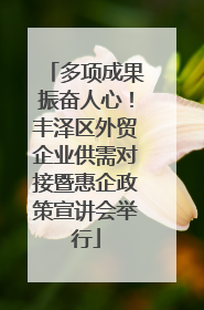 多项成果振奋人心！丰泽区外贸企业供需对接暨惠企政策宣讲会举行