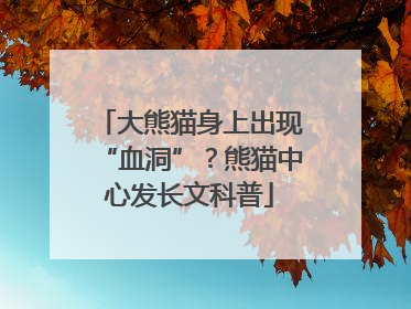 大熊猫身上出现“血洞”？熊猫中心发长文科普