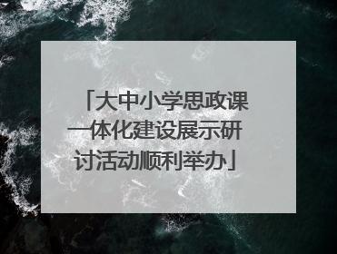 大中小学思政课一体化建设展示研讨活动顺利举办