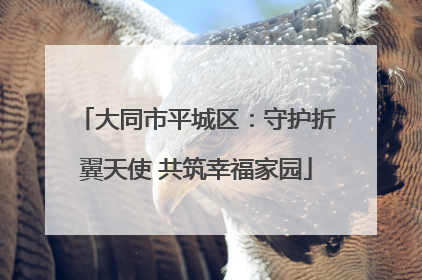 大同市平城区：守护折翼天使 共筑幸福家园
