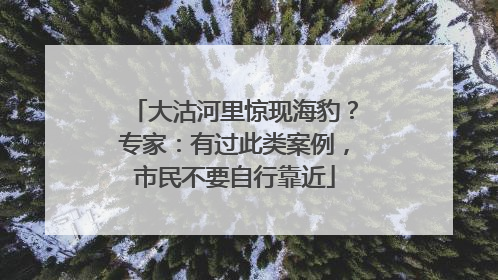大沽河里惊现海豹？专家：有过此类案例，市民不要自行靠近
