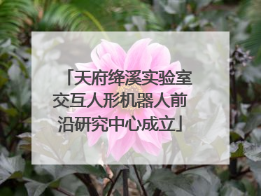 天府绛溪实验室交互人形机器人前沿研究中心成立