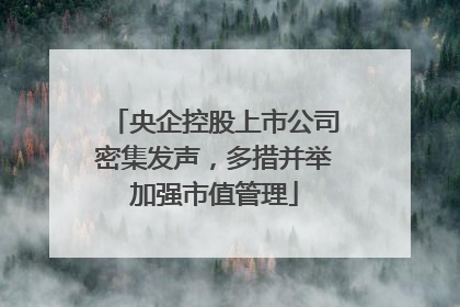 央企控股上市公司密集发声，多措并举加强市值管理