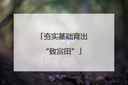 夯实基础育出“致富田”
