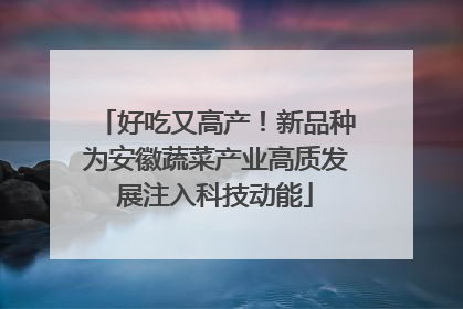 好吃又高产！新品种为安徽蔬菜产业高质发展注入科技动能