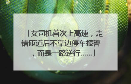 女司机首次上高速，走错匝道后不靠边停车报警，而是一路逆行……