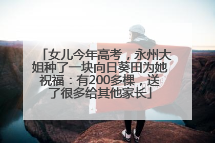女儿今年高考，永州大姐种了一块向日葵田为她祝福：有200多棵，送了很多给其他家长