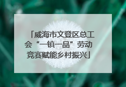 威海市文登区总工会“一镇一品”劳动竞赛赋能乡村振兴
