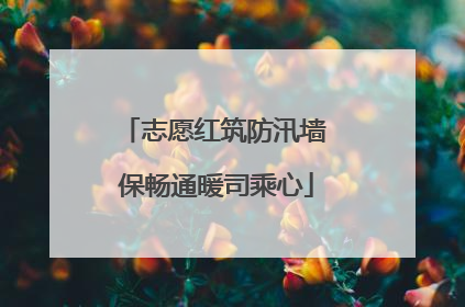 志愿红筑防汛墙 保畅通暖司乘心