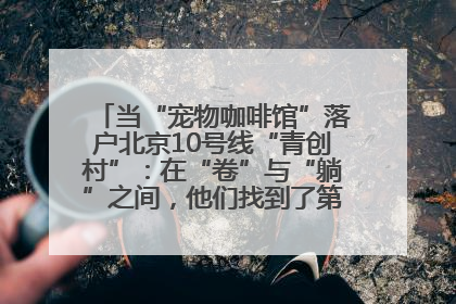 当“宠物咖啡馆”落户北京10号线“青创村”：在“卷”与“躺”之间，他们找到了第三种生活公式