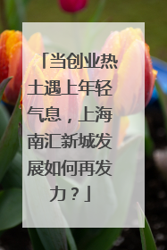 当创业热土遇上年轻气息，上海南汇新城发展如何再发力？