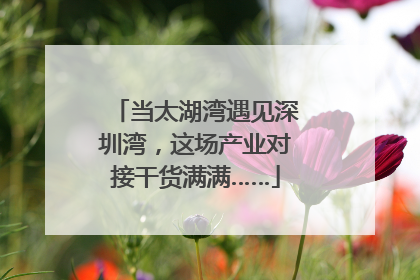 当太湖湾遇见深圳湾，这场产业对接干货满满……