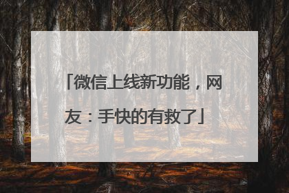 微信上线新功能，网友：手快的有救了