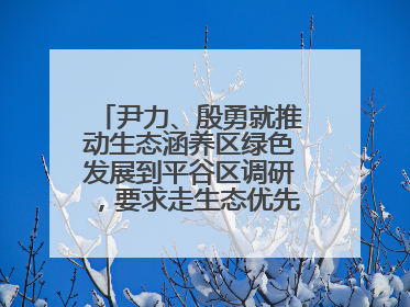 尹力、殷勇就推动生态涵养区绿色发展到平谷区调研，要求走生态优先、绿色低碳的高质量发展之路