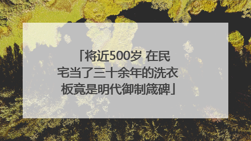 将近500岁 在民宅当了三十余年的洗衣板竟是明代御制箴碑