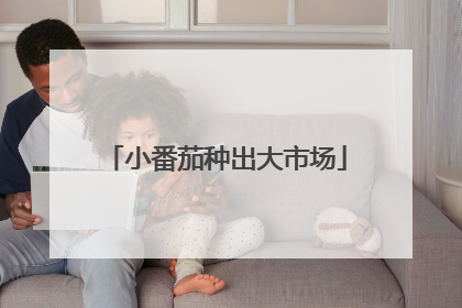 小番茄种出大市场