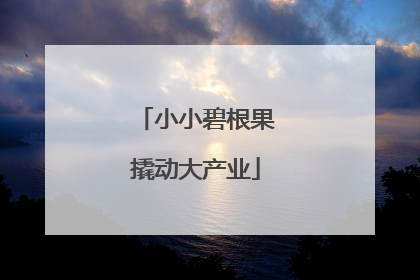 小小碧根果撬动大产业