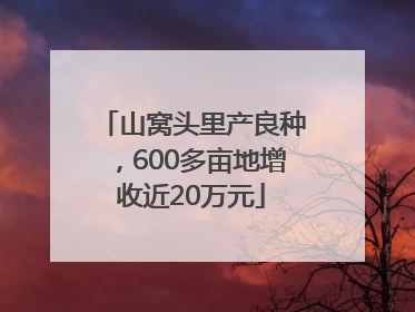 山窝头里产良种，600多亩地增收近20万元