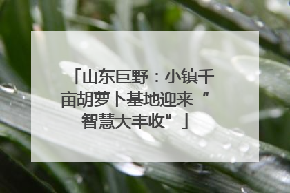山东巨野：小镇千亩胡萝卜基地迎来“智慧大丰收”