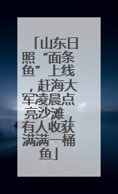 山东日照“面条鱼”上线，赶海大军凌晨点亮沙滩，有人收获满满一桶鱼
