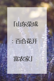 山东荣成：百合花开富农家