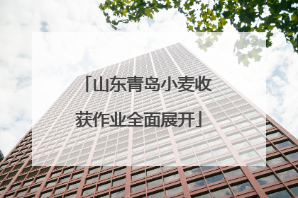 山东青岛小麦收获作业全面展开