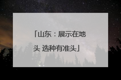 山东：展示在地头 选种有准头