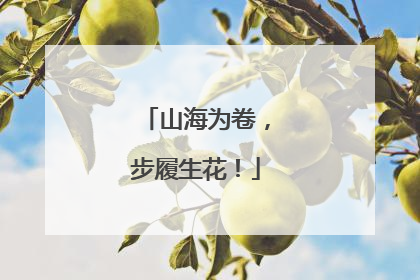 山海为卷，步履生花！
