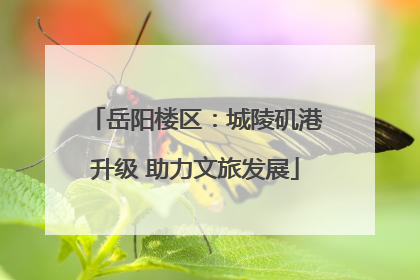 岳阳楼区：城陵矶港升级 助力文旅发展