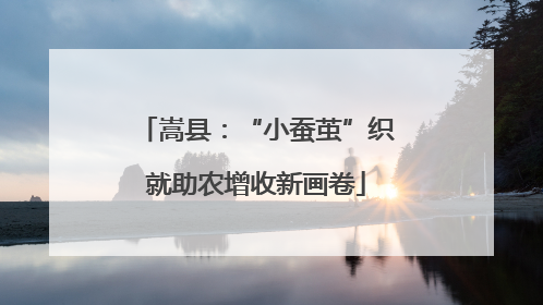 嵩县：“小蚕茧”织就助农增收新画卷