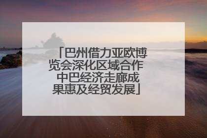 巴州借力亚欧博览会深化区域合作 中巴经济走廊成果惠及经贸发展