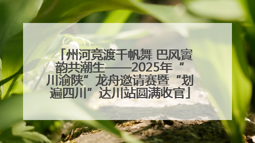 州河竞渡千帆舞 巴风賨韵共潮生——2025年“川渝陕”龙舟邀请赛暨“划遍四川”达川站圆满收官